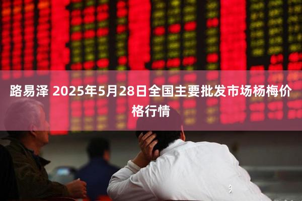 路易泽 2025年5月28日全国主要批发市场杨梅价格行情