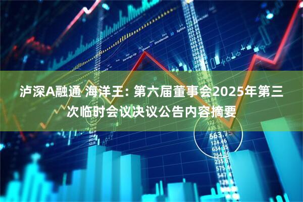 泸深A融通 海洋王: 第六届董事会2025年第三次临时会议决议公告内容摘要