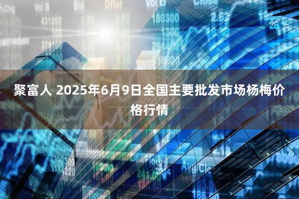 聚富人 2025年6月9日全国主要批发市场杨梅价格行情