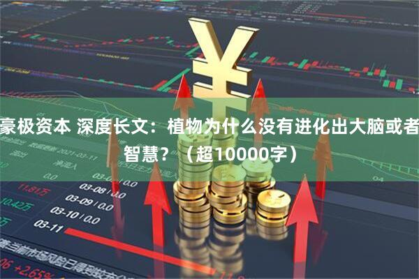 豪极资本 深度长文：植物为什么没有进化出大脑或者智慧？（超10000字）