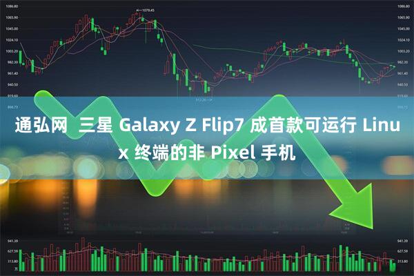 通弘网  三星 Galaxy Z Flip7 成首款可运行 Linux 终端的非 Pixel 手机