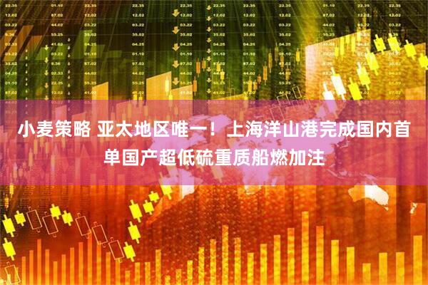 小麦策略 亚太地区唯一！上海洋山港完成国内首单国产超低硫重质船燃加注