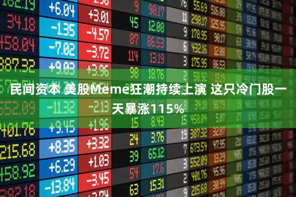 民间资本 美股Meme狂潮持续上演 这只冷门股一天暴涨115%