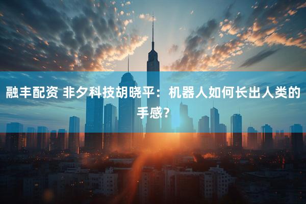融丰配资 非夕科技胡晓平：机器人如何长出人类的手感？