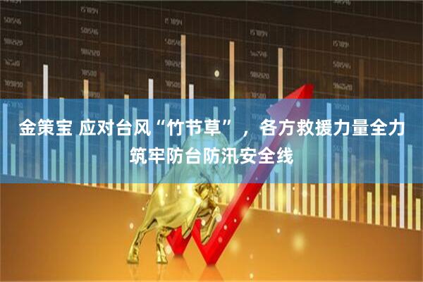 金策宝 应对台风“竹节草” ，各方救援力量全力筑牢防台防汛安全线