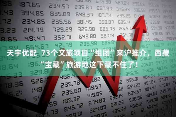 天宇优配  73个文旅项目“组团”来沪推介，西藏“宝藏”旅游地这下藏不住了！