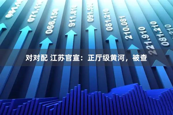 对对配 江苏官宣：正厅级黄河，被查