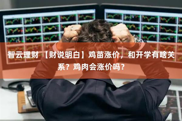智云理财 【财说明白】鸡苗涨价，和开学有啥关系？鸡肉会涨价吗？