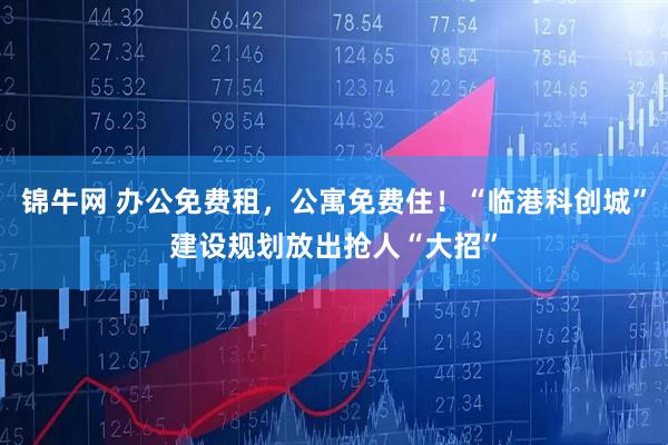 锦牛网 办公免费租，公寓免费住！“临港科创城”建设规划放出抢人“大招”
