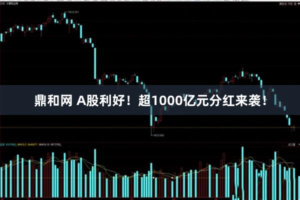 鼎和网 A股利好！超1000亿元分红来袭！