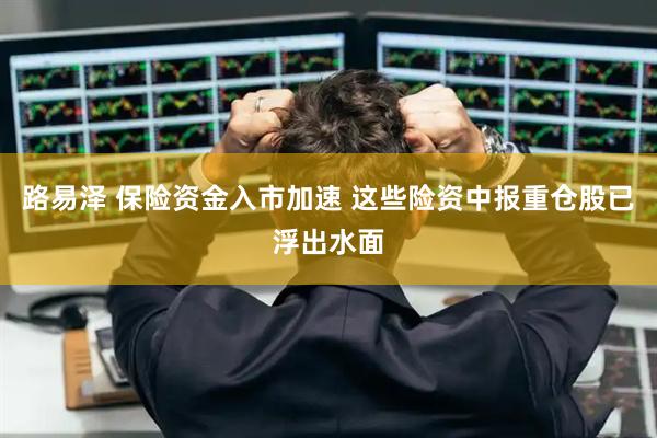 路易泽 保险资金入市加速 这些险资中报重仓股已浮出水面