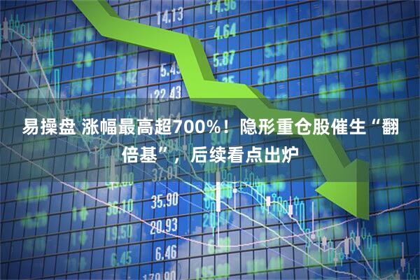 易操盘 涨幅最高超700%！隐形重仓股催生“翻倍基”，后续看点出炉