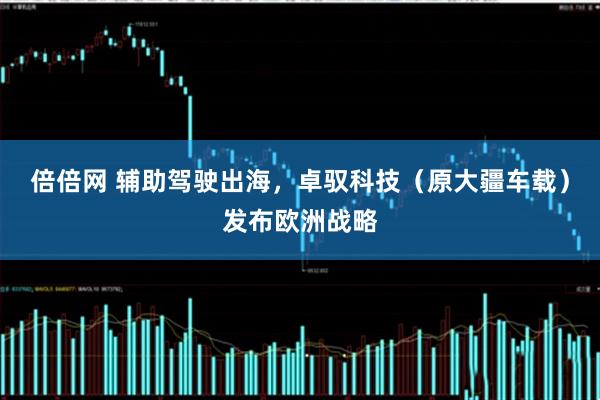 倍倍网 辅助驾驶出海，卓驭科技（原大疆车载）发布欧洲战略