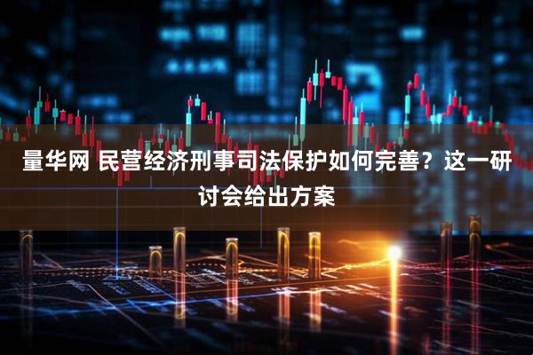 量华网 民营经济刑事司法保护如何完善？这一研讨会给出方案